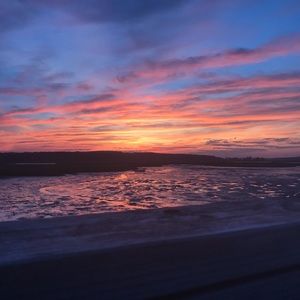 Meet your Posher, Izzzy